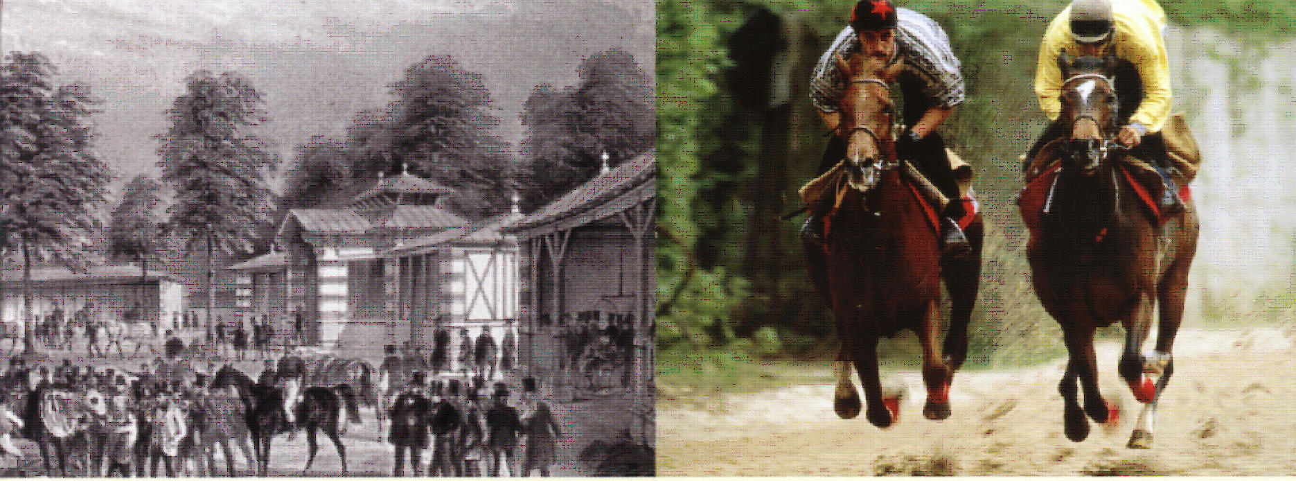 paris horse racing paris horse racing